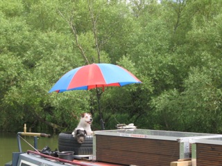 10. July 2114 walk.jpg